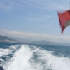 Combat Diver Course May 2015_089